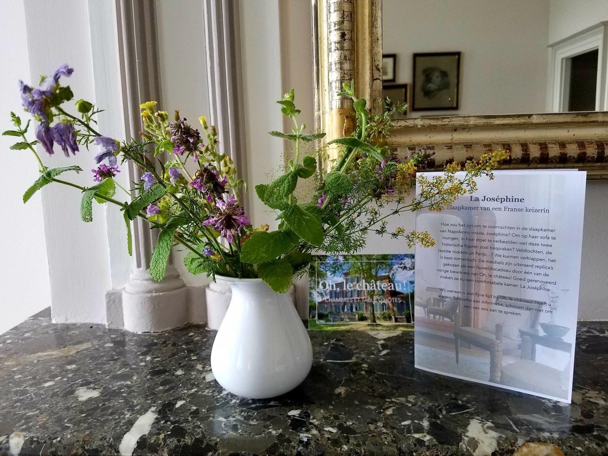 Oh, Le Chateau! Almayrac Kamer foto